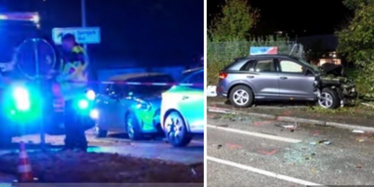 Tragična saobraćajna nesreća kod Štutgarta, stradala majka (39) i dva sina (3 i 6). Policajci plakali