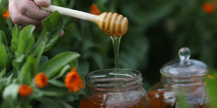 Savez pčelara upozorava: Večina meda u marketima falsifikat