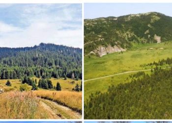 Odluka o proglašenju Specijalnog rezervata prirode “Mojstirsko-Draške planine”
