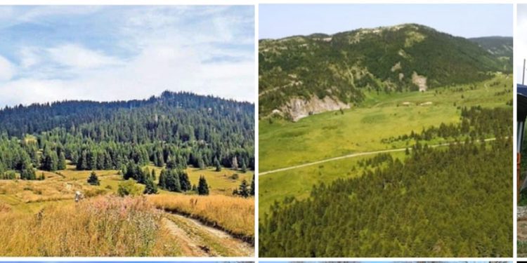 Odluka o proglašenju Specijalnog rezervata prirode “Mojstirsko-Draške planine”