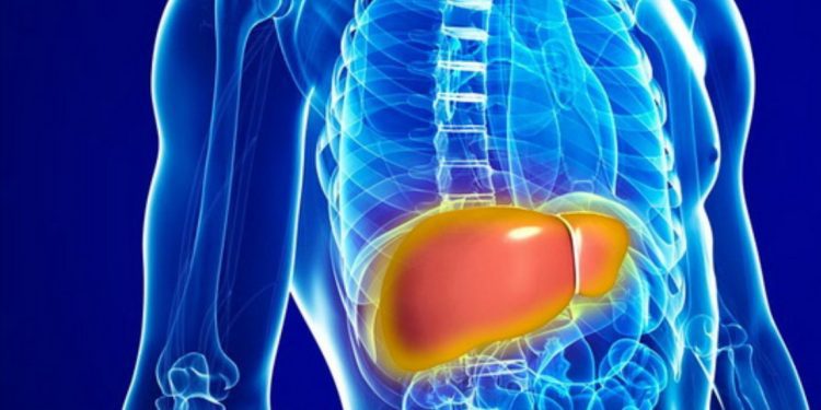 Zdravlje jetre: Važnost detoksikacije i prevencije masne jetre