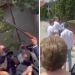 Pucnjava na svadbi, Mladoženja priveden zbog ranjavanja sedmoro gostiju