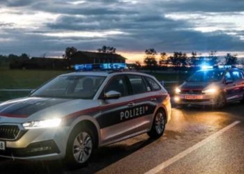 Racija na svadbi u Beču: 22 državljana Srbije uhapšena zbog rada na crno