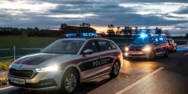 Racija na svadbi u Beču: 22 državljana Srbije uhapšena zbog rada na crno