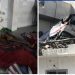 Napadi dronovima na bolnicu Kamal Adwan: Humanitarna katastrofa u Pojasu Gaze