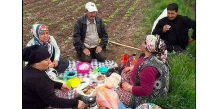 Teški radovi ali zajednička Sofra sve probleme riješi