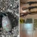 Policija Kosova pronašla veću količinu oružja, municije i bombe u Zvečanu