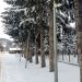 Početak zime: Hladno vrijeme i snijeg, u skladu sa kalendarom