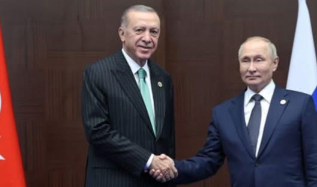 Erdogan: Samo Putin i ja smo iskusni lideri na svijetu, Schroder  bio dobar
