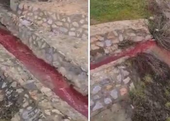 Ekološki incident u Novom Pazaru: Ispuštanje krvi u rijeci Raški