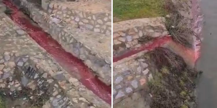 Ekološki incident u Novom Pazaru: Ispuštanje krvi u rijeci Raški