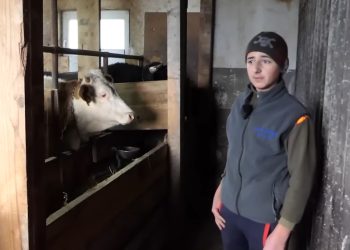 Mladi stočar: Vrijedan rad i predanost donose uspjeh, oni koji kažu da im smrdi se pretvaraju