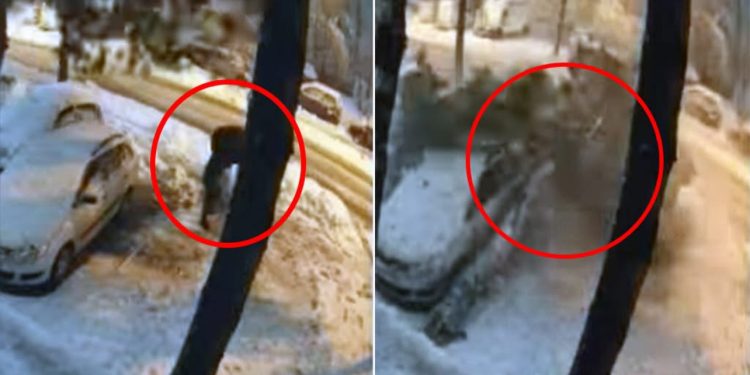 Dramatične scene usled obilnih snježnih padavina, drvo palo na pješaka
