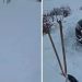 Mještani sela Ugao ogorčeni na opštinsku vlast: Dva dana zavejani i niko da okrene glavu