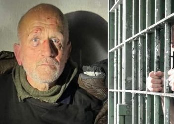 Izručenje Alije Balijagića Crnoj Gori: Proces i detalji