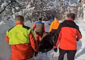 Hrabri i humani komšije rizikovali živote da bi stigli do zavejane starice sa mrtvim sinom