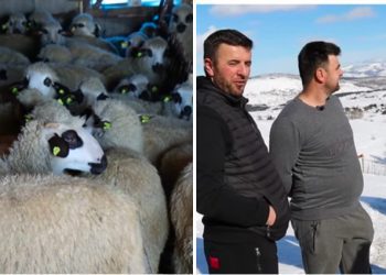 Uspjeh i zajedništvo: Priča porodice Kurtagić iz Čitluka, izazovi i gubici sa kojima se suočavaju