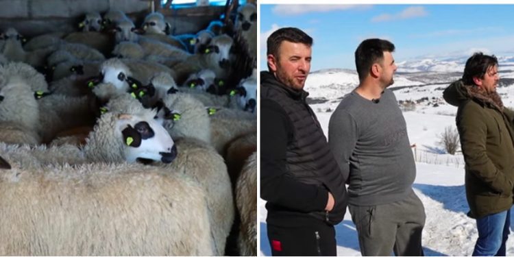 Uspjeh i zajedništvo: Priča porodice Kurtagić iz Čitluka, izazovi i gubici sa kojima se suočavaju