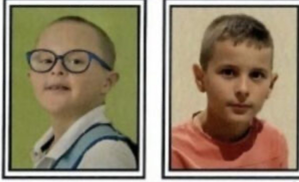 Tragična smrt usled prevrtanja traktora sa drvima, dječaci od 13 i 15 godina stradali