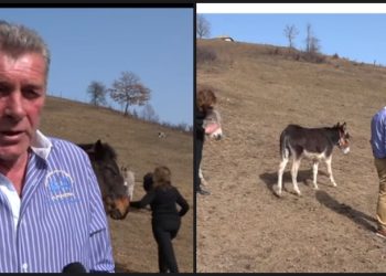 Tutin: Povratak porodice Smajlagić u Lipicu, neodoljiva veza sa rodnim krajem