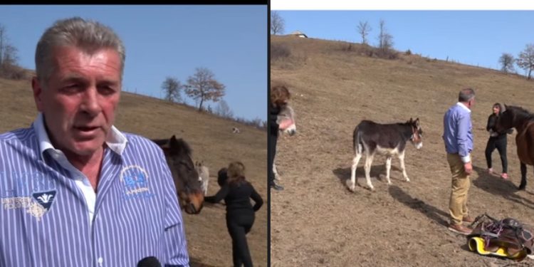 Tutin: Povratak porodice Smajlagić u Lipicu, neodoljiva veza sa rodnim krajem
