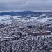 Jedan od najljepših snimaka Tutina, dronom iznad borića  kod Svračića VIDEO