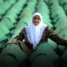 Usvojen program obilježavanja 30. godišnjice genocida u Srebrenici: Čuvanje sjećanja i pravda za žrtve