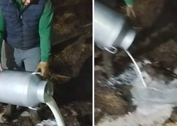 Ovaj poljoprivrednik svakodnevno prospe preko 150 litara mlijeka jer nema otkupa