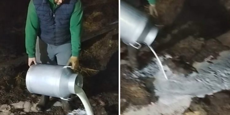 Ovaj poljoprivrednik svakodnevno prospe preko 150 litara mlijeka jer nema otkupa