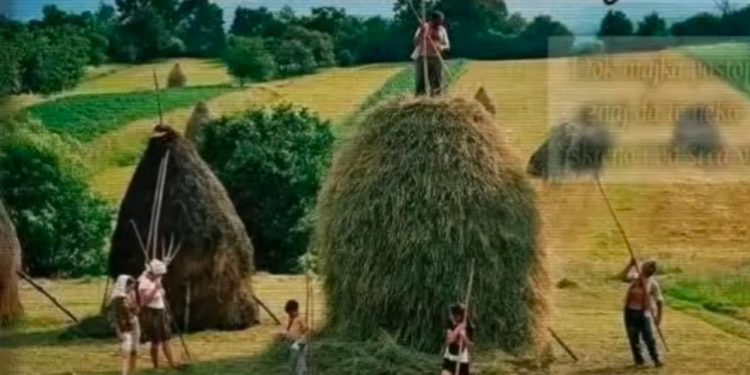 Svi se slažu u jednom: Bilo je teško ali puno srećnije i berićetnije