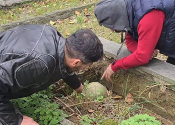 Radnik stradao na groblju od nepažnje kolege, istraga u toku