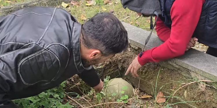 Radnik stradao na groblju od nepažnje kolege, istraga u toku