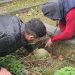 Radnik stradao na groblju od nepažnje kolege, istraga u toku