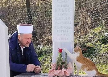 Dirljiva priča i sjećanje na Saliha Brkića: Omiljeni novinar i ljubitelj maca