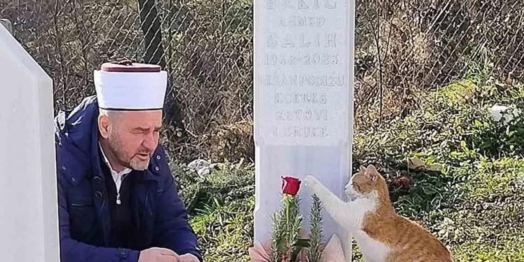 Dirljiva priča i sjećanje na Saliha Brkića: Omiljeni novinar i ljubitelj maca