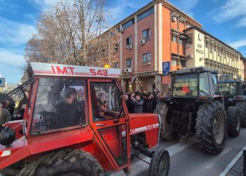 Blokade Ibarske magistrale kao podrška: Poljoprivrednici i proizvođači mleka traže pravdu