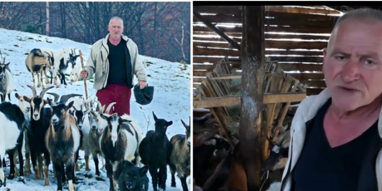 Nema brže, bolje i lakše zarade od koza kaže Kemal VIDEO