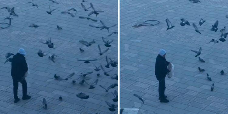 Tutin: Poznati frizer svakog jutra hrani golubove na trgu “Šemsudina Kučevića”