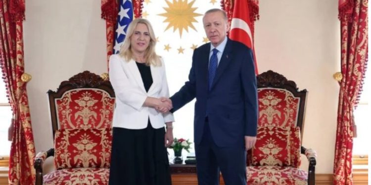 Sastanak Cvijanović i Erdogana: Fokus na političkoj situaciji u BiH
