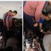 Još 16 Palestinaca ubijeno u Gazi tokom napada izraelskih agresora i zločinaca