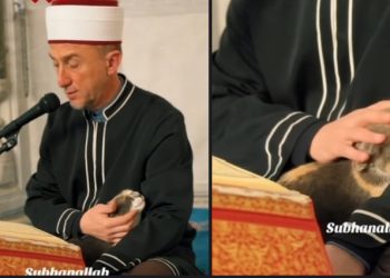 Imam uči Kur’an i mazi mačku, džamija u Skoplju