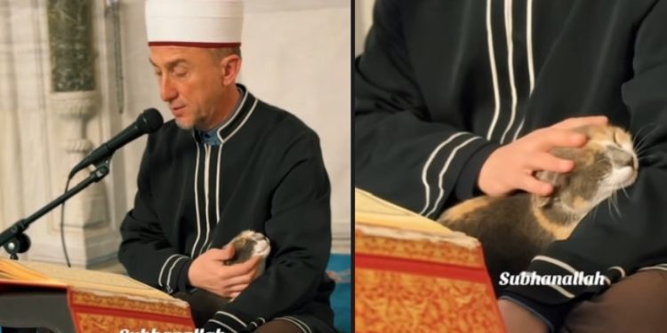 Imam uči Kur’an i mazi mačku, džamija u Skoplju