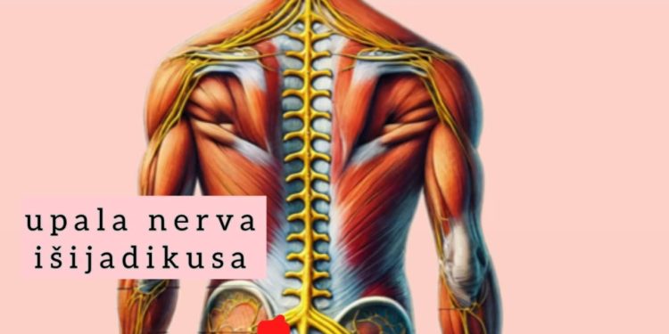 Bolovi u leđima: Sve češći problem diskus hernija i išijas, a evo šta kažu stručnjaci