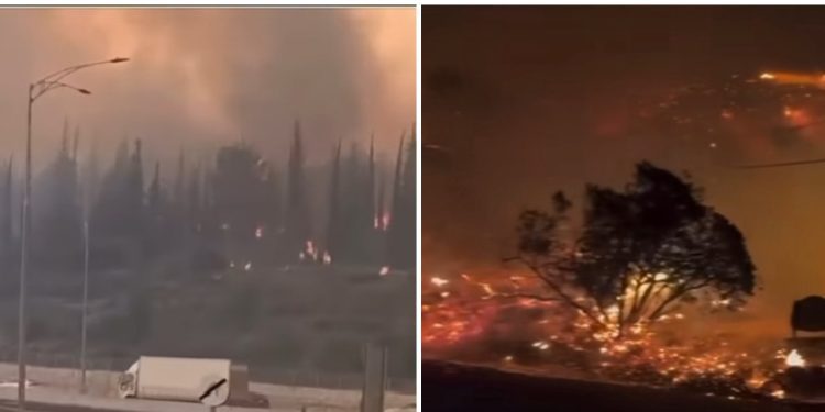 Vatrena stihija guta šume i područja oko Jerusalima, sve bliže naseljima