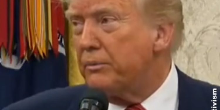 Tramp: Puno se priča o Gazi, u narednih 24 sata će se objaviti VIDEO