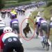 Neobičan incident na Giro d’Italia: Koza utrčala na stazu i nasrnula na biciklistu VIDEO