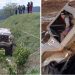 Uspomena na Izeta Bronju: Sedmi međunarodni off-road reli u Novom Pazaru