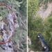 Sletio sa puta pa 12 sati visio držeći se za granu iznad velike provalije kod Šavnika