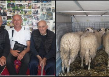Humanost na djelu: Siniša Avramović 3 kurbana a Redžep Kurtović  invalidska kolica donirali
