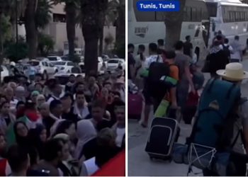 Globalni marš za Gazu: Aktivisti iz 31 zemlje okupljaju se u Kairu za protest na granici s Rafahom